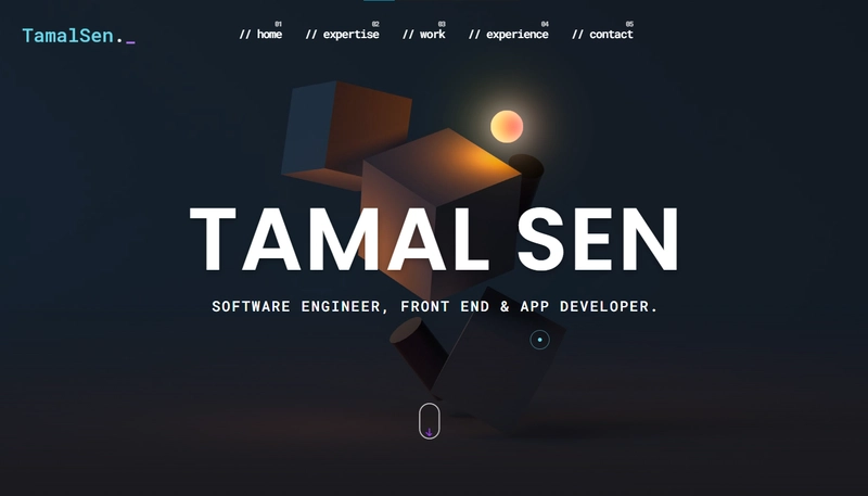 TAMAL SEN 的作品集