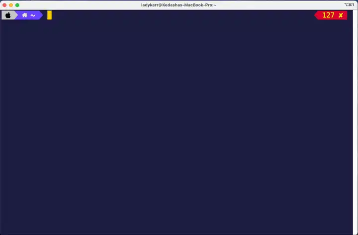 副驾驶解释命令