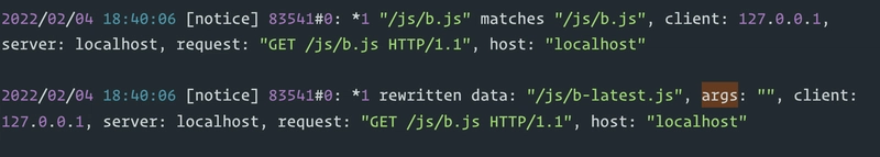 Nginx error.log 记录重定向