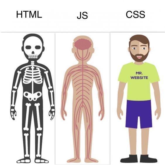 JavaScript