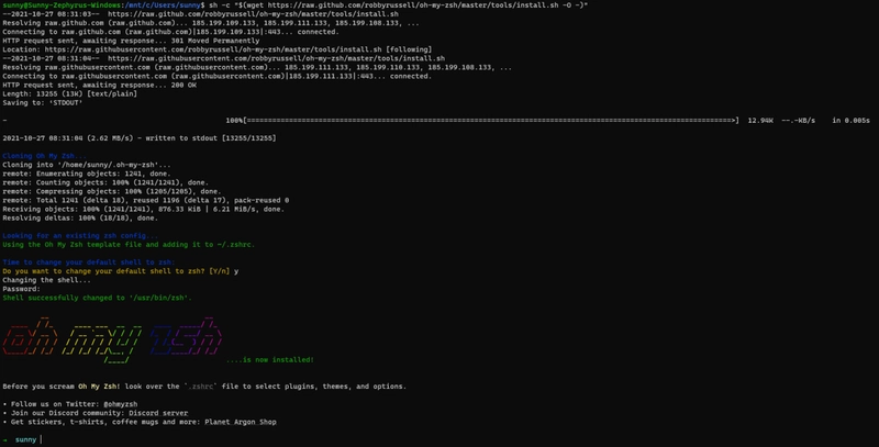 oh-my-zsh Windows 11