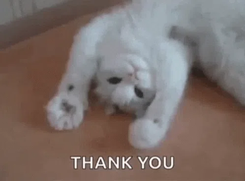 猫咪谢谢