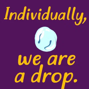 gif4