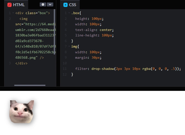 png 图像上的 CSS 阴影滤镜