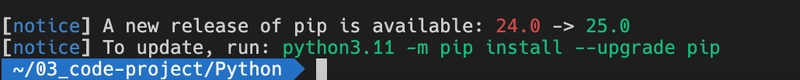 如何使用 Python 调用 DeepSeek-R1 API