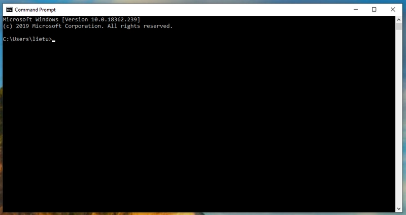 ConHost 窗口