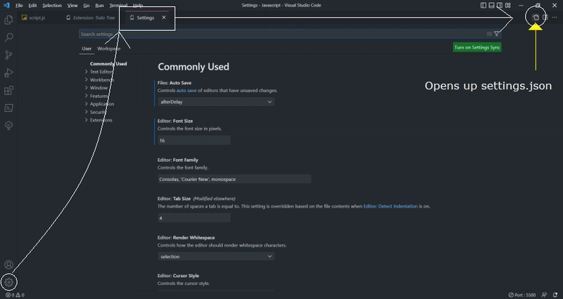 settings.json devto-koustav