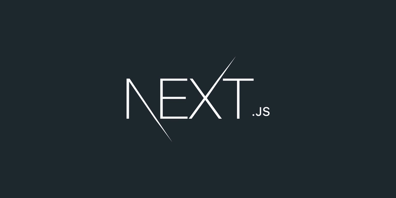 如果使用 Next.js,屏幕会显示黑屏和白色文字。