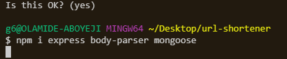 npm i