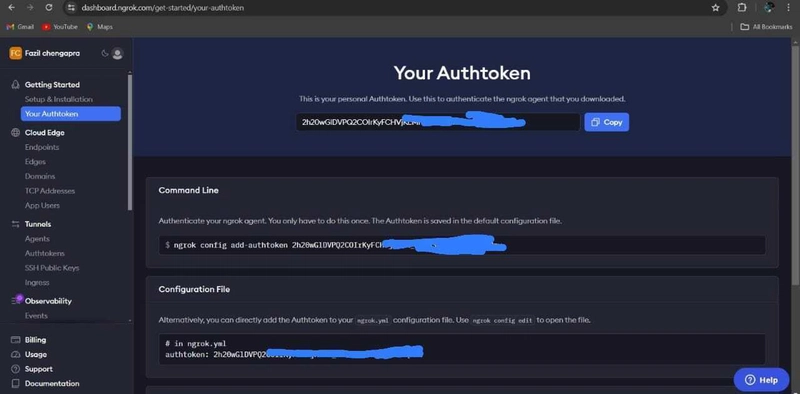 我添加了 Ngrok Authtoken