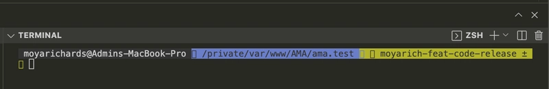 Visual Studio Code 中无字体的终端图像