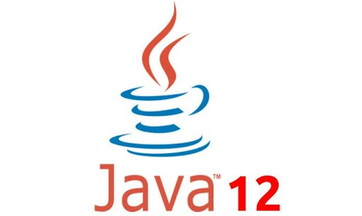 Java12