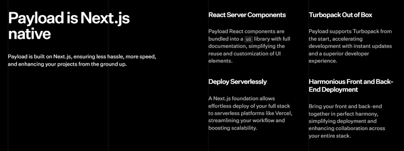 使用 nextjs 的有效载荷