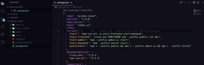 Package.json 文件
