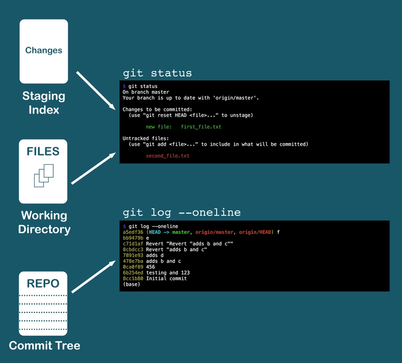 git status 和 git log