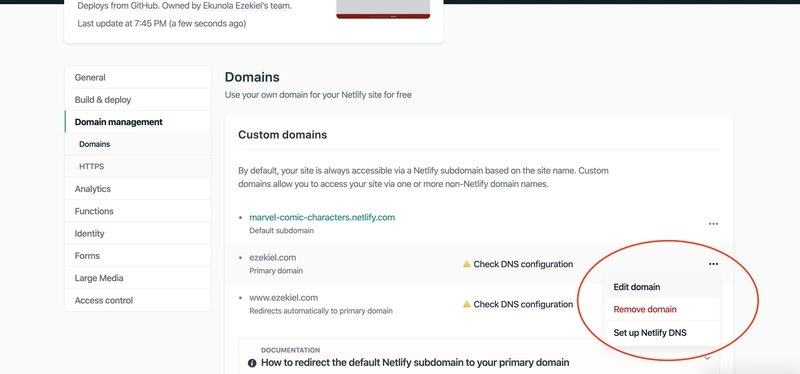 Netlify DNS 设置