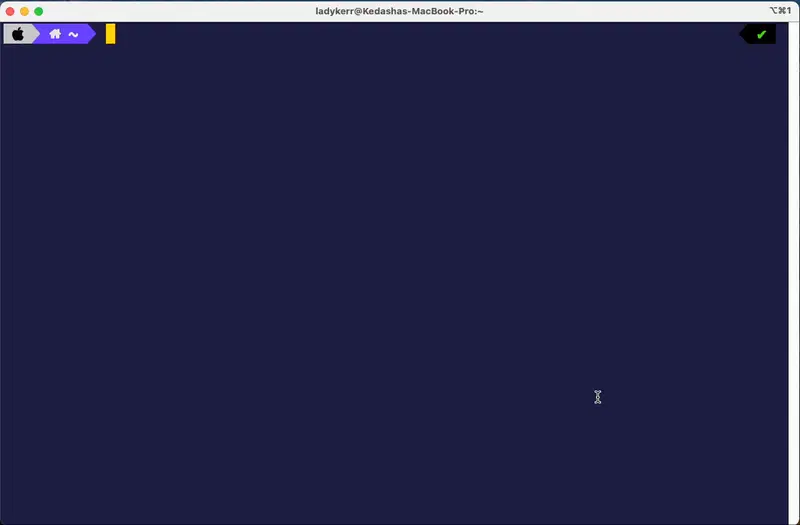 副驾驶解释命令