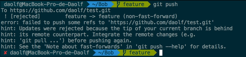 [Oh My Zsh](https://github.com/robbyrussell/oh-my-zsh) 带有 agnoster 主题，方便用户使用