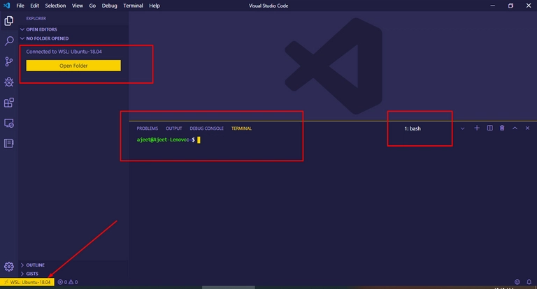 WSL 中的 VS Code