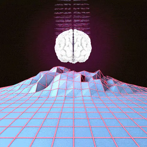 目录大脑