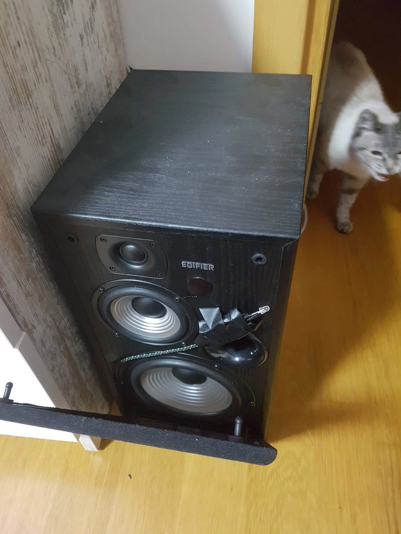扬声器设置