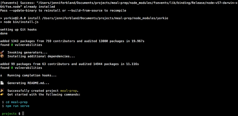Vue CLI 成功创建了我们的应用程序。