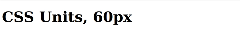 1rem 60px