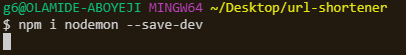 npm 我开发
