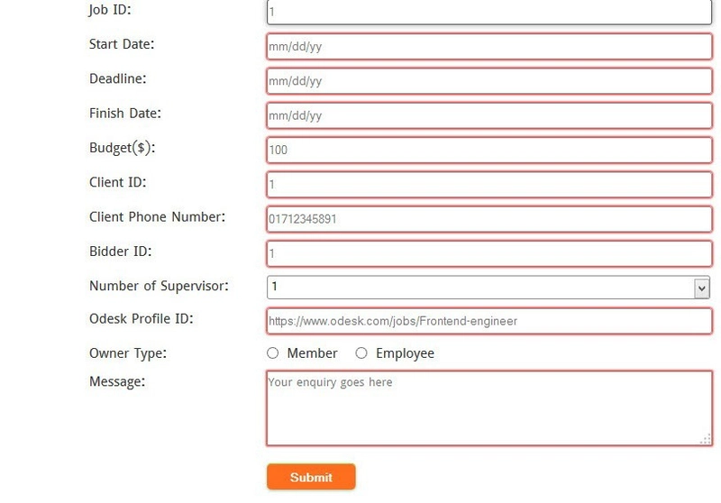 仅使用红色边框表示验证失败的表单。