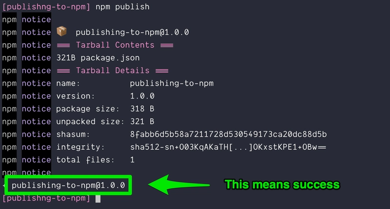 成功发布到 npm