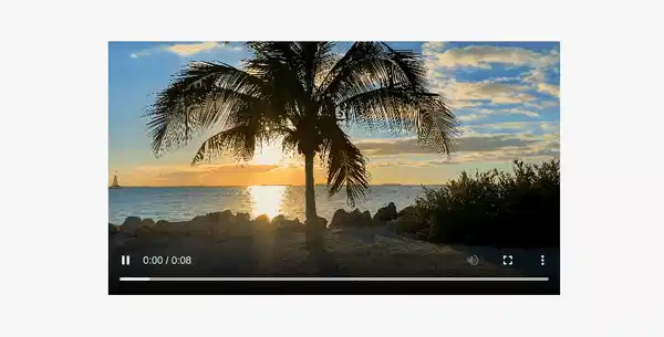 河边的棕榈树