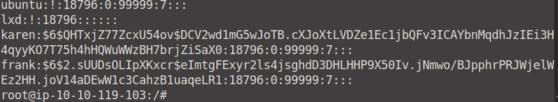 Linux 特权增强