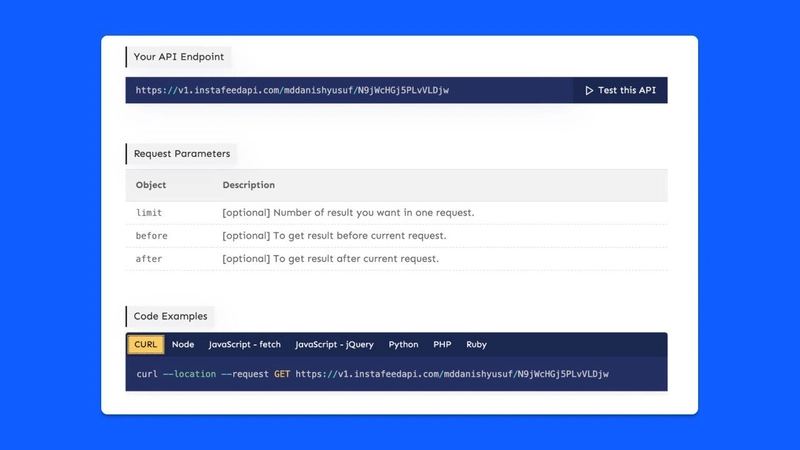 InstaFeedAPI 文档