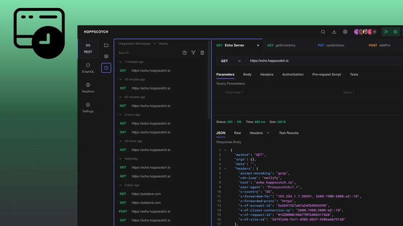 在 Hoppscotch 中查看您的 API 请求历史记录