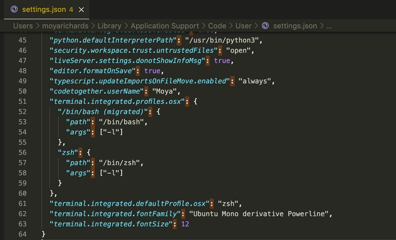 settings.json 代码