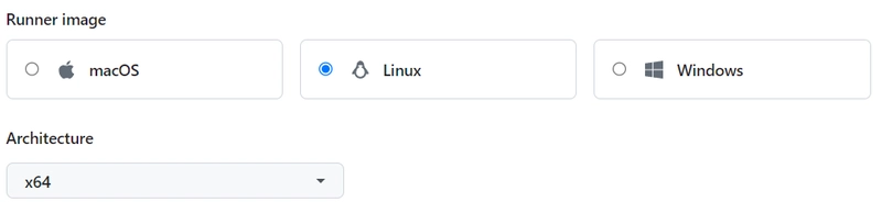 操作系统运行选项