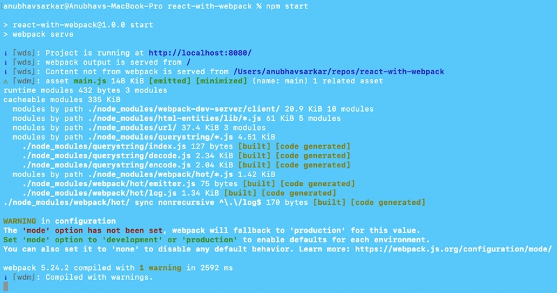 npm 启动