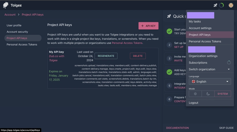 Tolgee 项目 API 密钥