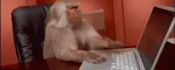 猴子代码