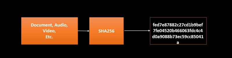 SHA 256 算法
