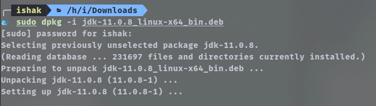 安装 Oracle JDK 11