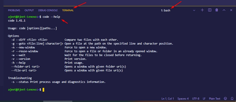 在 WSL 中的 VS Code 中运行代码