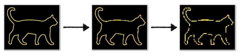 子样本猫