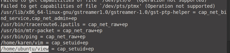 Linux 特权增强