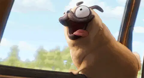 https://media2.giphy.com/media/QuDkyRwpMt1o2KTojk/giphy.gif?cid=7941fdc6ths6zlk79k1t4i14mbza4yyg9ulg5yns1ucno0mn&ep=v1_gifs_search&rid=giphy.gif&ct=g