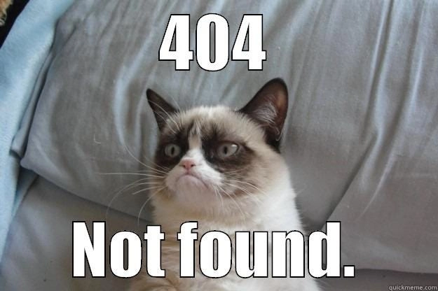404 猫
