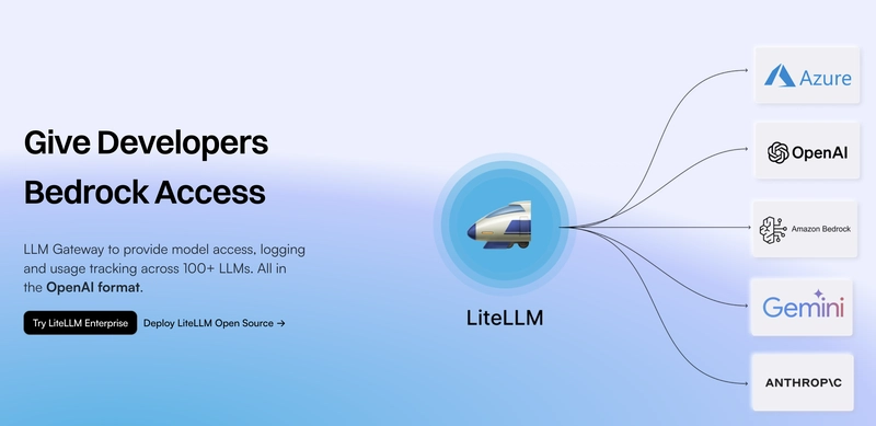 LiteLLM 图像
