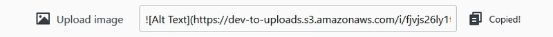 在 dev.to 编辑器中 Marckdown 图片 URL