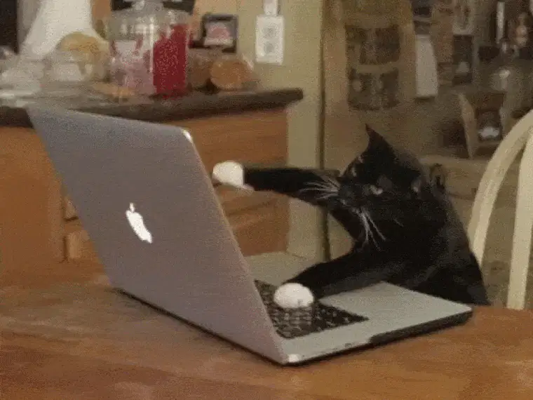 快速编码猫咪 Gif