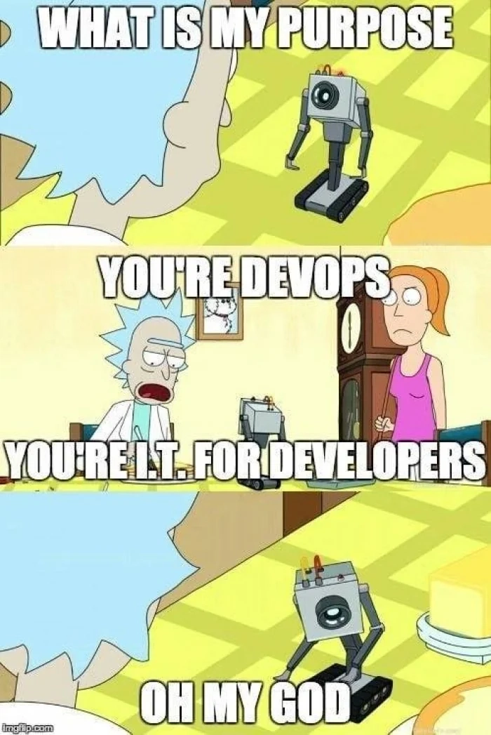 DevOps 团队的客户就是开发人员：https://www.reddit.com/r/ProgrammerHumor/comments/itqtiu/devops_harsh_reality/